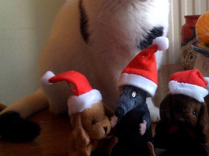 kerstmis