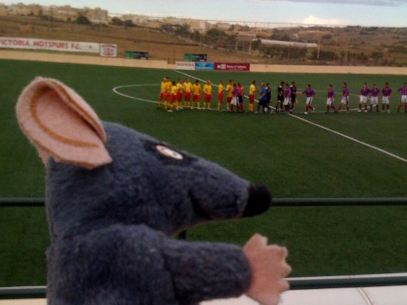 voetbalfanmalta